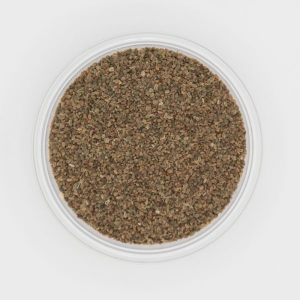 Whole Celery Seed Detailed Spice Textures From Above On White Background