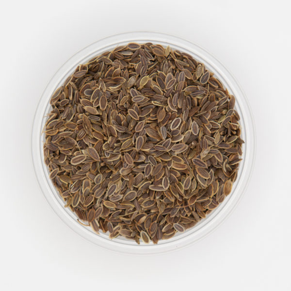 Dill Seed Whole